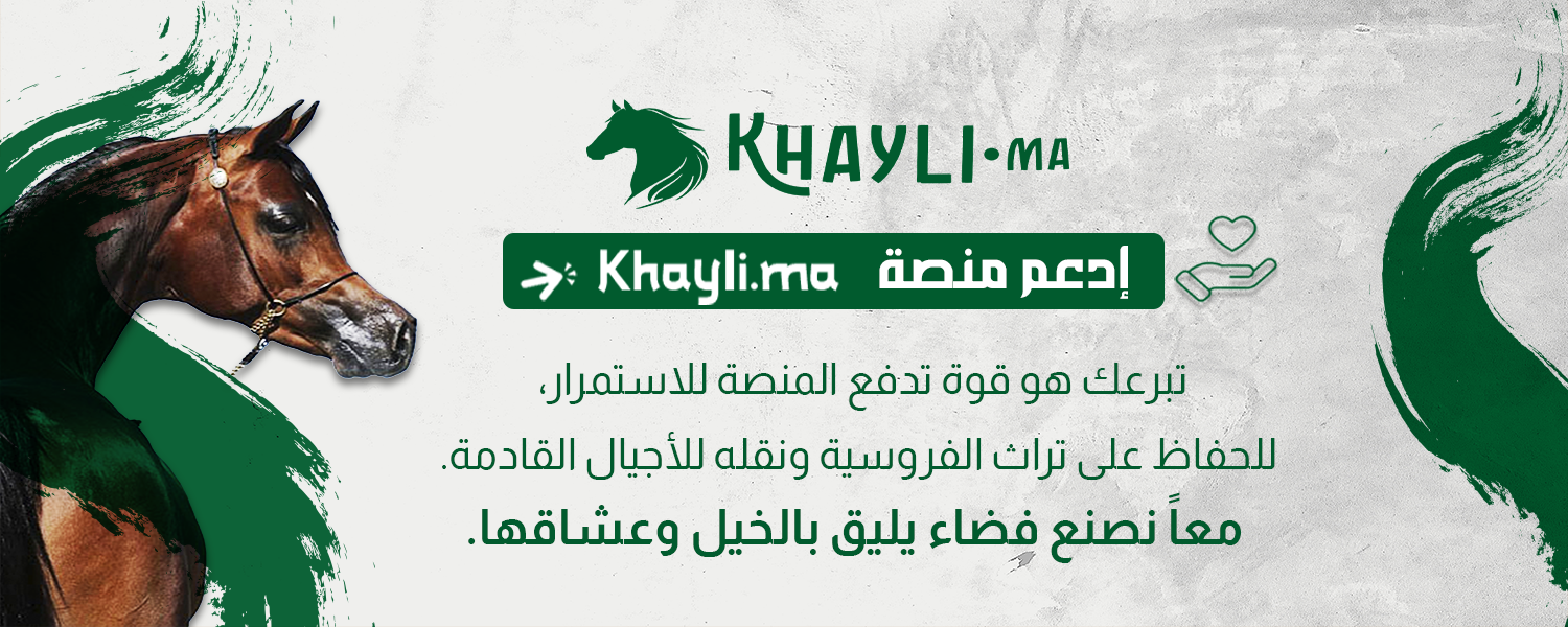 ادعم منصة خيلي - Support Khayli Platform