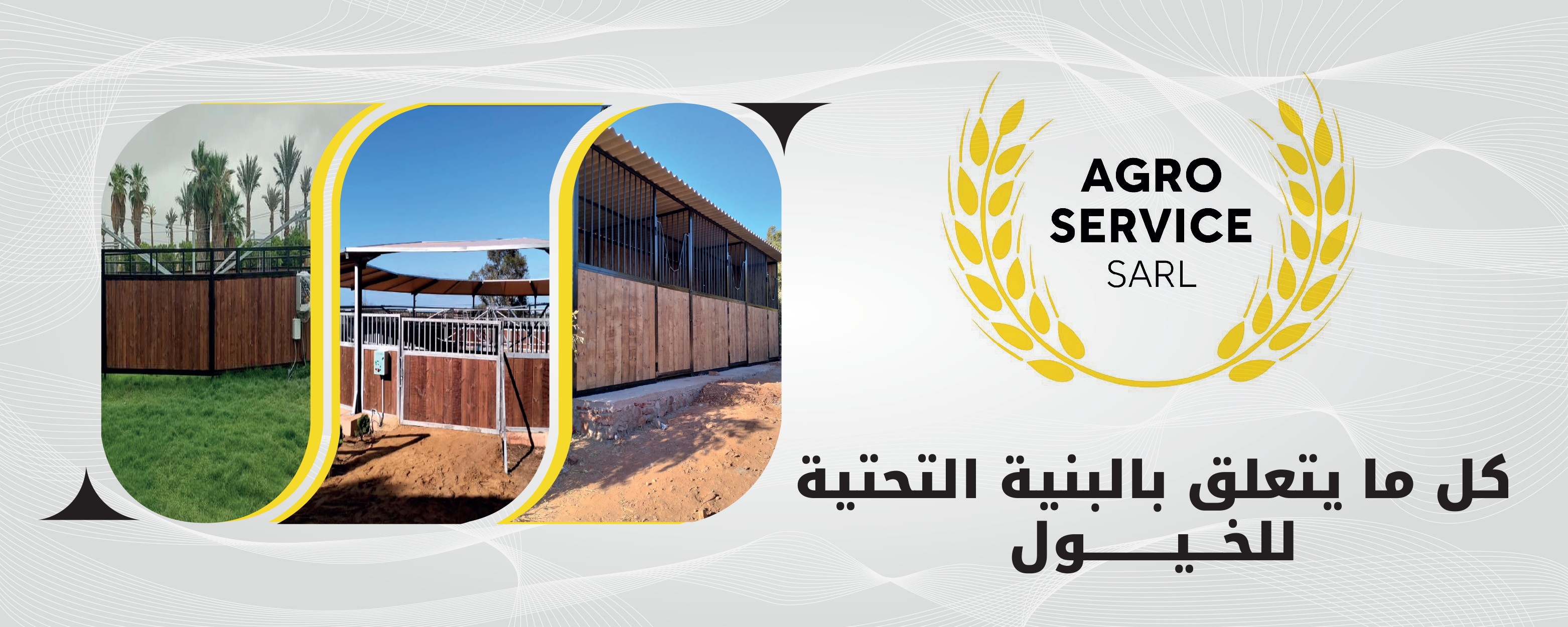 AGRO SERVICE - كل ما يتعلق بالتربية الغذية للخيل