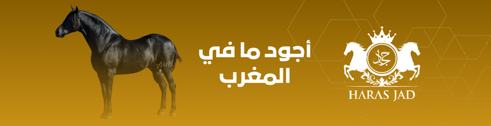 Haras Jad - حرس جاد